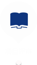 项目评审
