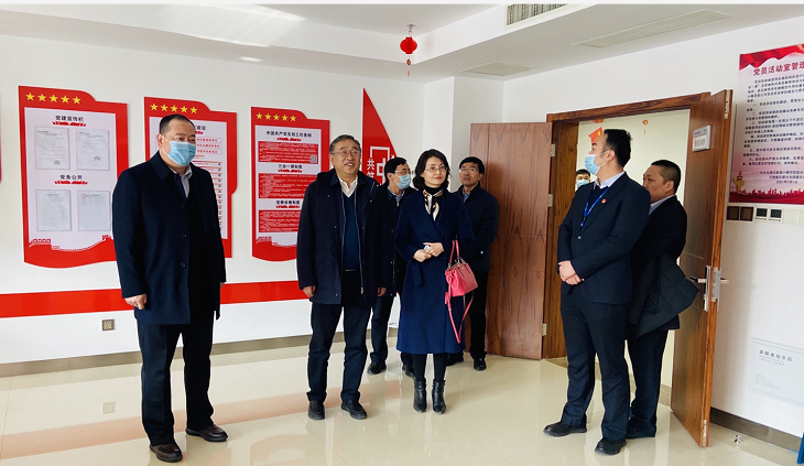 2.11日集团公司荣志远书记赴新区公司视察指导工作1.png