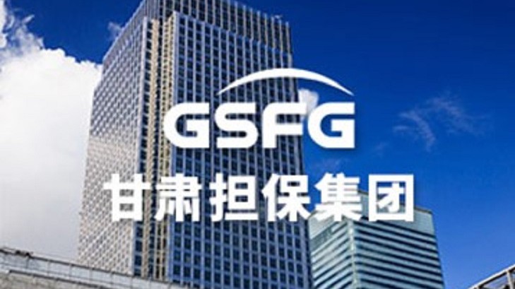 公司领导到担保集团定西公司调研