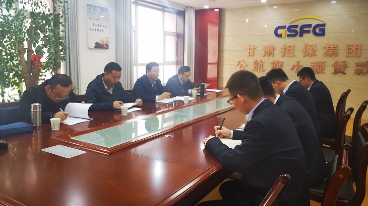 集团公司纪委书记赵磊一行调研担保集团陇南分公司