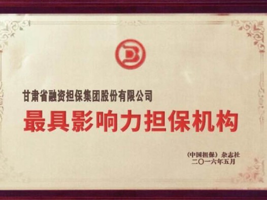 最具影响力担保机构