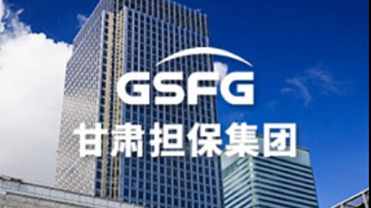 金融资本公司董事长谢昕一行赴担保集团平凉分公司调研指导