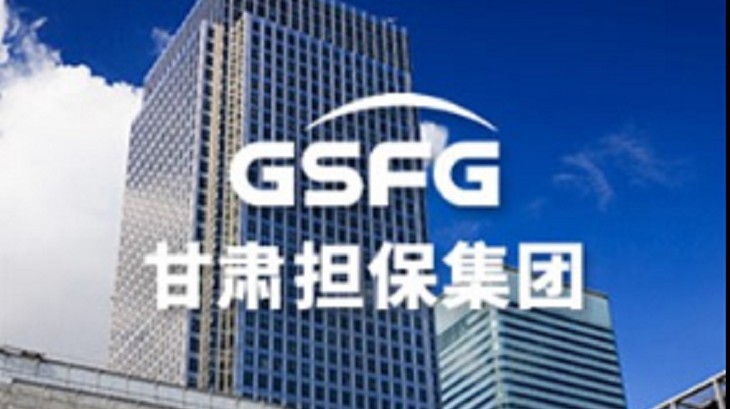 担保集团传达学习集团公司改革三年行动推进暨对标世界一流管理提升行动部署会精神