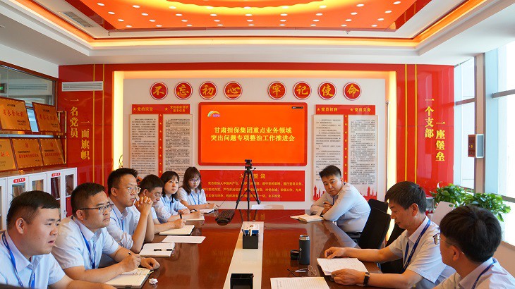 担保集团召开重点业务领域突出问题专项整治工作推进会