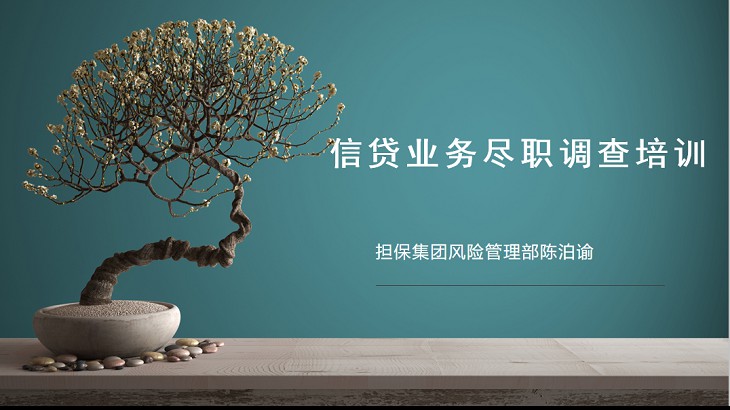 担保集团组织开展信贷业务尽职调查培训