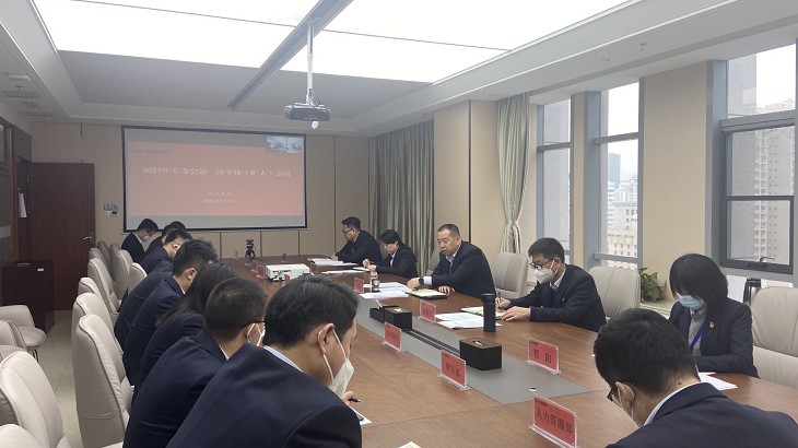 担保集团组织召开2023年安委会第一次全体（扩大）会议