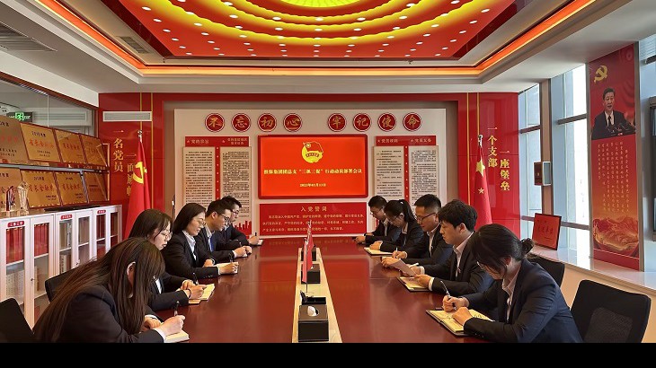 “三抓三促”在行动 Ι 落实“三抓三促”行动部署 担保集团团总支在行动