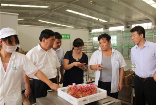 谢昕总经理一行赴陇南、天水分公司调研