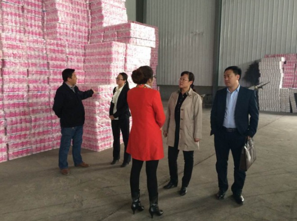 省融资担保集团副总经理谢昕赴平庆地区进行调研