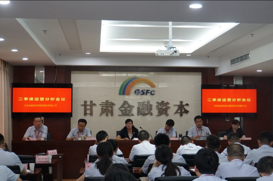 公司召开2017年二季度运营分析会议