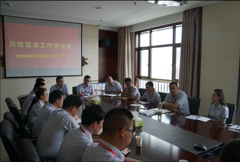 公司召开2017年上半年风险管理工作会议