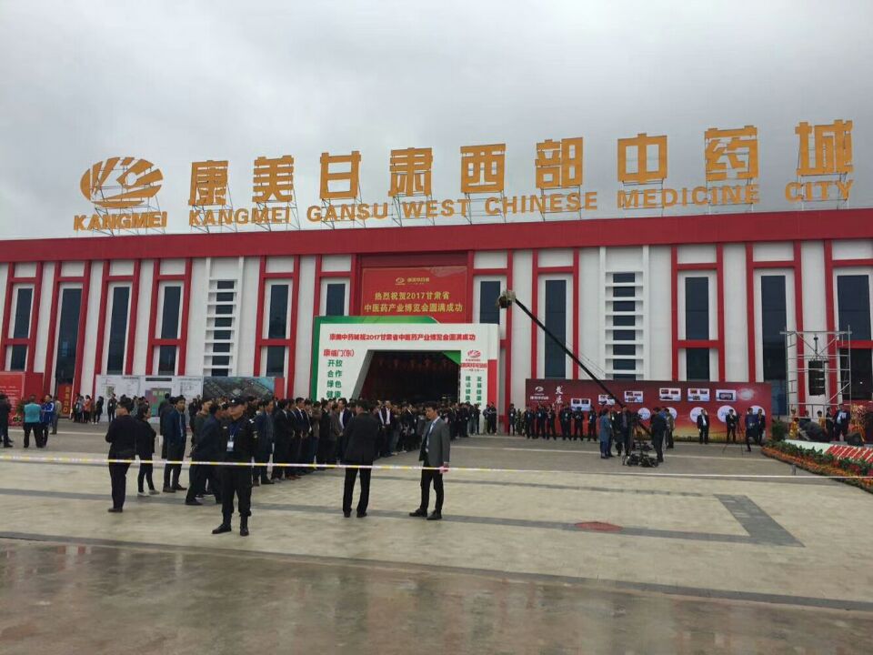 定西公司在甘肃省中医药博览会上进行产品推介