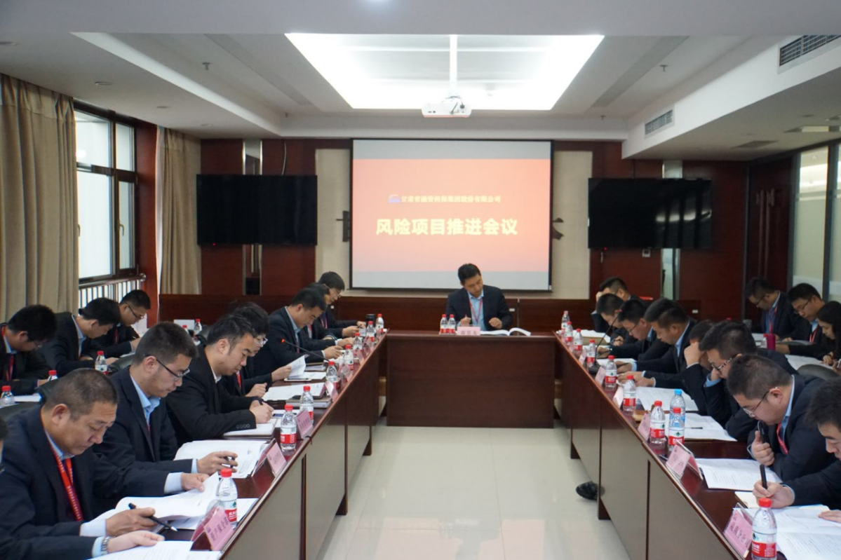 公司召开风险项目推进会