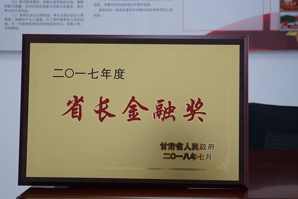 担保集团喜获“2017年度省长金融奖”